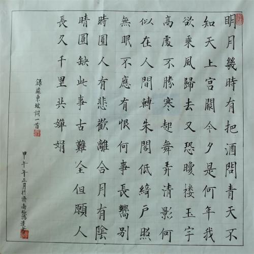 一代文豪――苏东坡-我眼中的历史名人作文800字