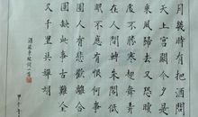 一代文豪――苏东坡-我眼中的历史名人作文800字