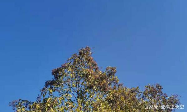 教师点评作文|给自己一个希望 2