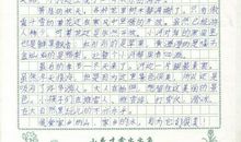 小城干净了 家乡的变化作文300字