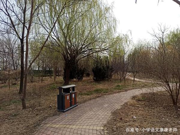 走进我家乡的一个老公园,小学语文作文写作 3