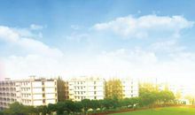 夏天的校园 校园里的夏天作文300字