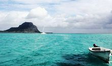 关于真诚的中学生作文