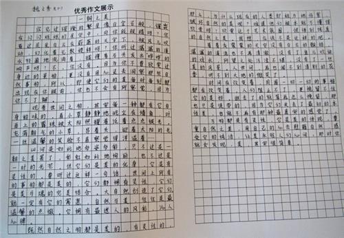 家 初中生爱国作文800字