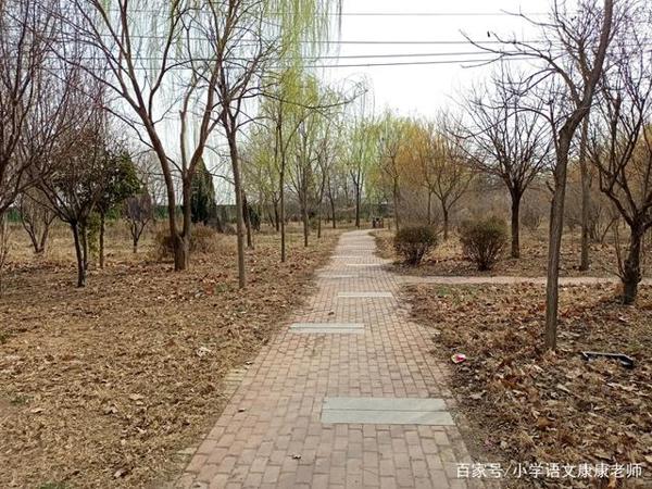 走进我家乡的一个老公园,小学语文作文写作 1
