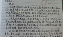 4X100的大反击 激烈的接力赛400字作文