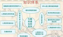 遗传变异与疾病之间因果关系或需重估论文