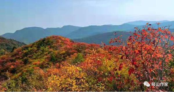 黄永年：《困惑山庄》读后感 1