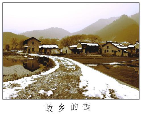 家乡的雪_800字