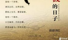 你在天上看我,我在人间等你网络散文