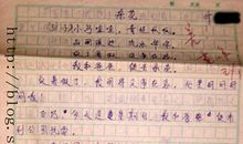 忆曾经走过的那条路-优秀记叙文600字