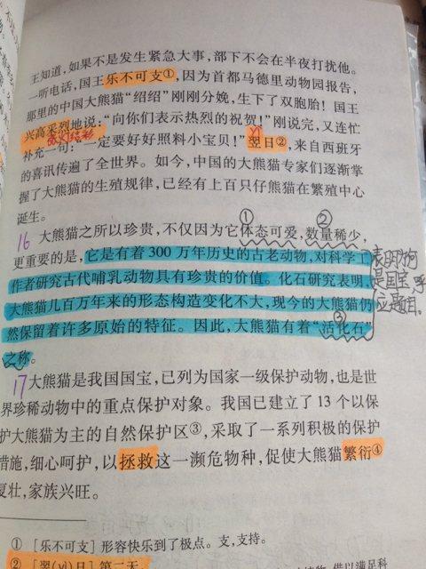 描写大熊猫的作文500字5篇
