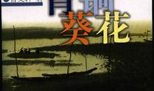 葵花香，青铜泪 读《青铜葵花》有感500字