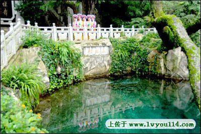 蝴蝶泉公园导游词