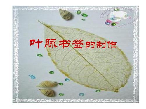 学做叶脉书签叙事作文
