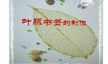 学做叶脉书签叙事作文