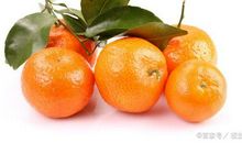 我的家乡特产作文：松岙蜜桔