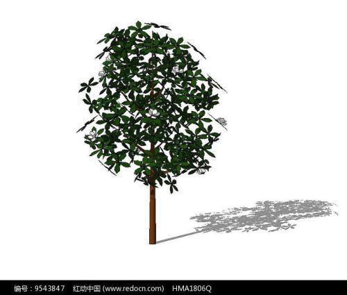 一树栀子花-优秀记叙文700字