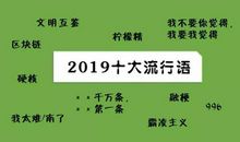 写作文谨慎使用“年度流行语”，阅卷专家提醒说可能会成“杀手”