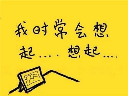 多一点韧劲-优秀记叙文500字