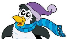 惹人喜爱的动物 《波普先生的企鹅》读后感500字