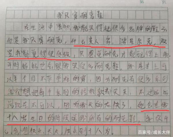 小学生作文《我只穿耐克鞋》直言:其它品牌都配不上自己…… 1