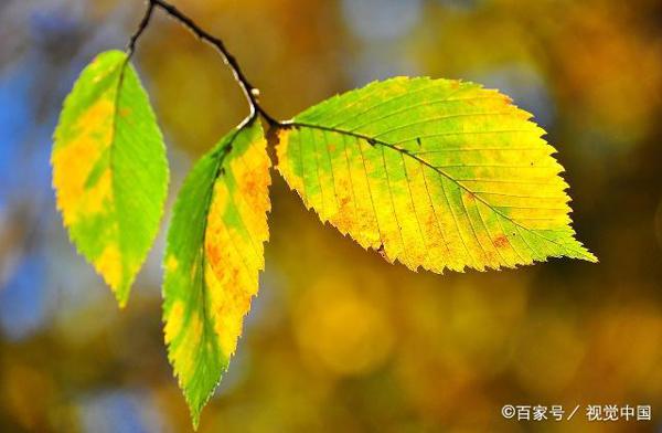 教师点评作文|读书之趣 3