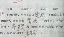 共度好时光-在诗词中漫游作文500字