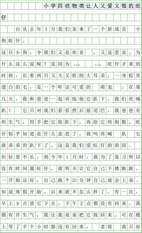 我的心爱之物-优秀状物作文400字