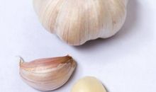 五年级学生作文：美丽的生命