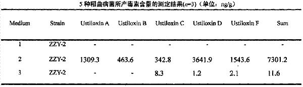 稻曲毒素含量与致病力关系探析论文