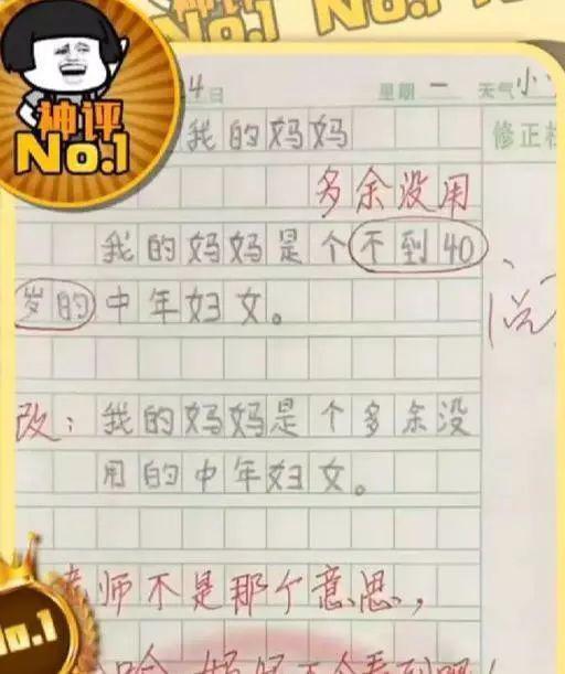 爸爸看了儿子的作文后：爸爸对你很失望！ 3