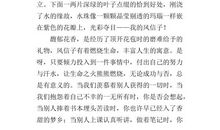 风信子作文600字