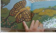 真实即美丽 《枯叶蝴蝶》读后感500字