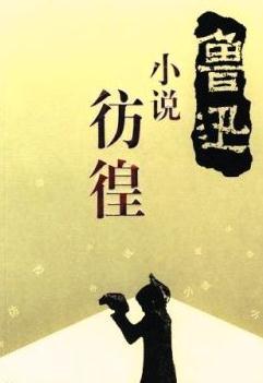 一段彷徨的旅程-优秀随笔800字