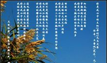 你是我心中的太阳的散文