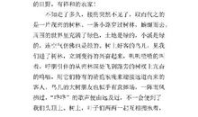 五一乡村游-劳动节游记作文900字