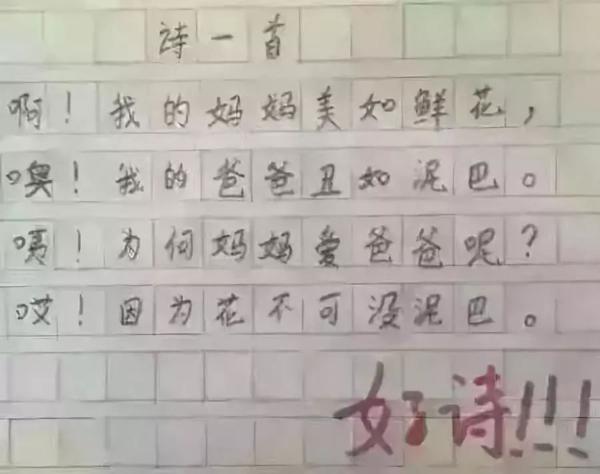 爸爸看了儿子的作文后：爸爸对你很失望！ 4