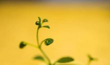 拒绝“假大空”，大主题的作文到底怎么写才真实