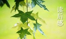 读《人间词话》有感