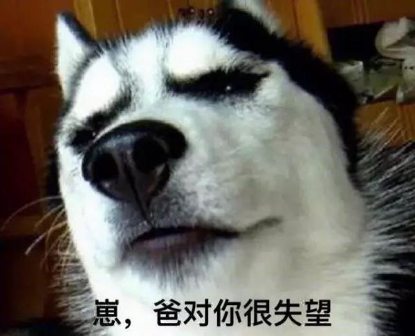 爸爸看了儿子的作文后：爸爸对你很失望！ 5