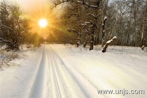 关于阳光温暖的句子