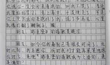 我真的很不错中考作文