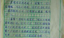 挖白薯作文450字