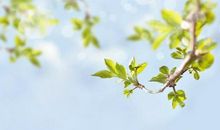 教师点评作文｜读书之趣