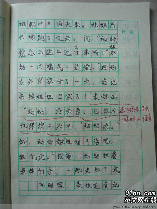 失踪的荷兰鼠 三年级叙事作文300字