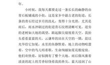 乡情初中抒情作文600字