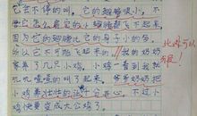 我欢喜-优秀记叙文600字