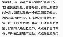 人人负责，人人争优-以责任为话题的作文900字