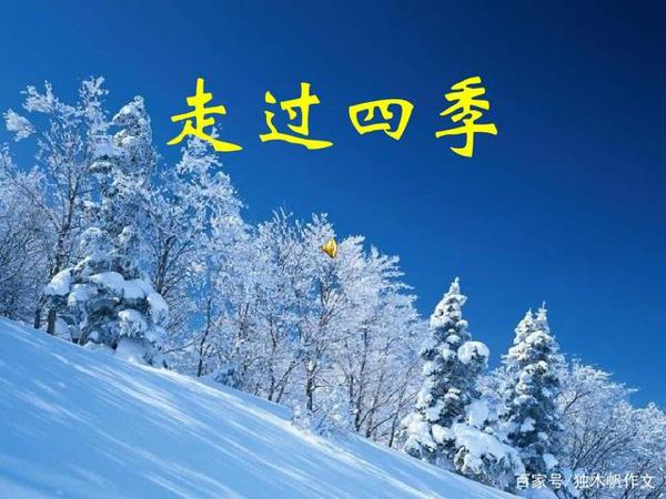 初二作文:我从四季走过